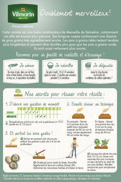 Légumes Secs - Pois Nain à Grain Ridé Kelmerveil - 20 m - MEDIA_PACKAGING_VERSO